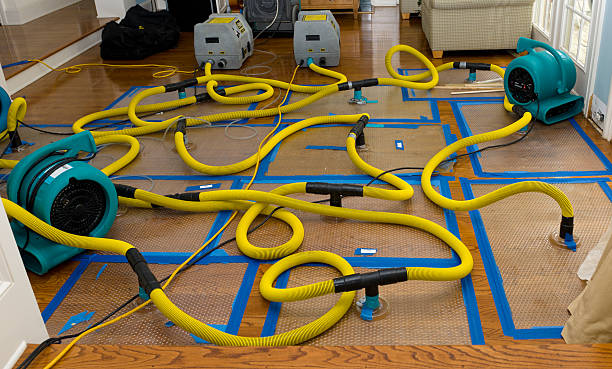 Professional Basement Flood Cleanup technician working in Oyens, IA